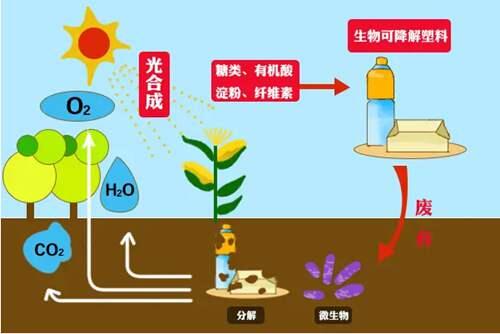 什么叫可降解塑料袋 如何检测塑料袋是否可降解