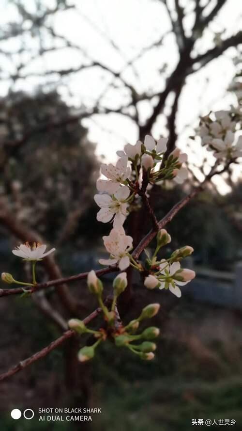 「哲理」说“空灵” 空灵是什么意思