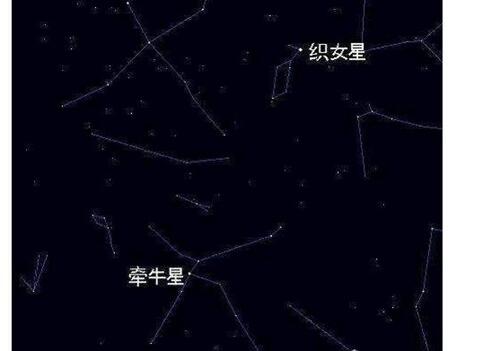 牛郎星属于什么星座