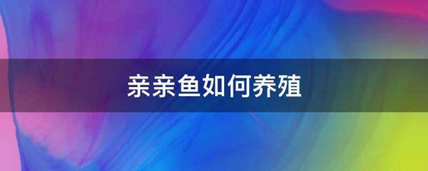 亲亲鱼如何养殖