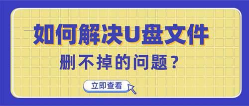 如何解决U盘文件删不掉的问题