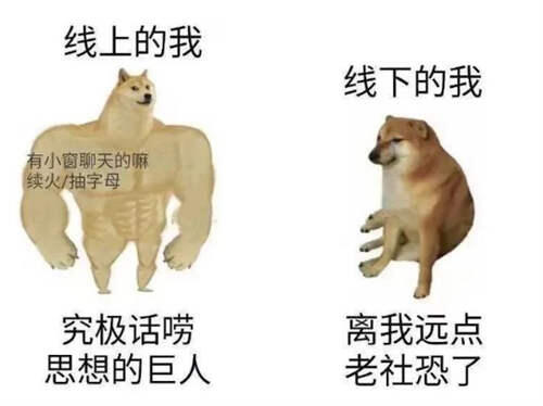 活在你表情包里的神烦狗Doge doge什么意思