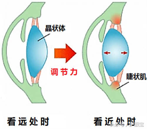 有哪些对眼睛有保护作用的壁纸推荐 保护视力桌面壁纸