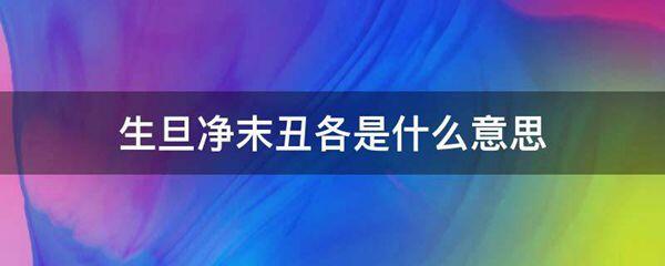 生旦净末丑各的意思是什么