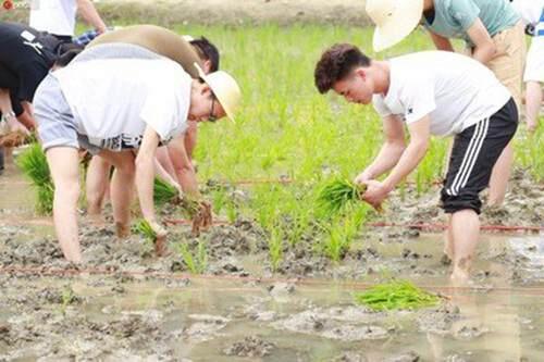 四川一高校开种田课