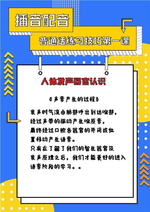 人体发声器官介绍