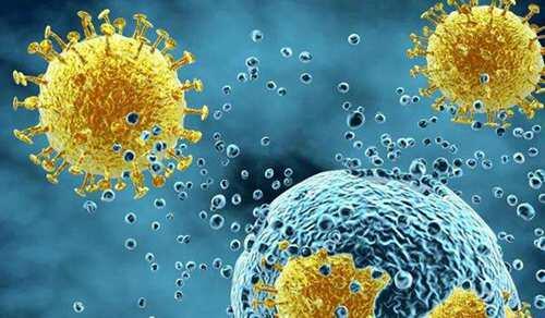 日本研究发现变异新冠病毒