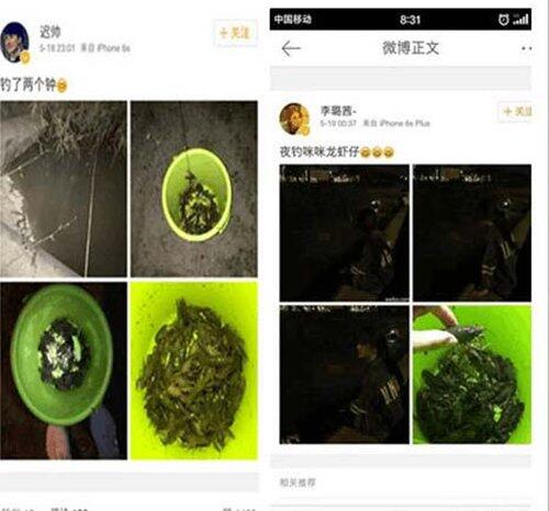 迟帅的老婆是谁个人资料简介