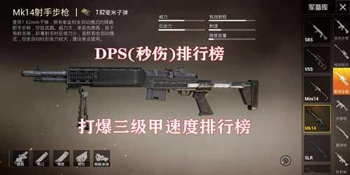 dps是什么意思