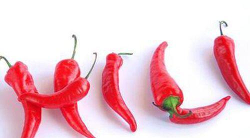 指天椒的功效与作用 指天椒有哪些营养价值