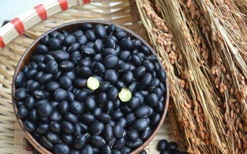 黑豆怎么吃最好 常见黑豆的吃法技巧