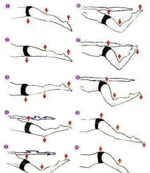 每个游泳爱好者都应学会的蝶泳技巧 蝶泳的动作要领