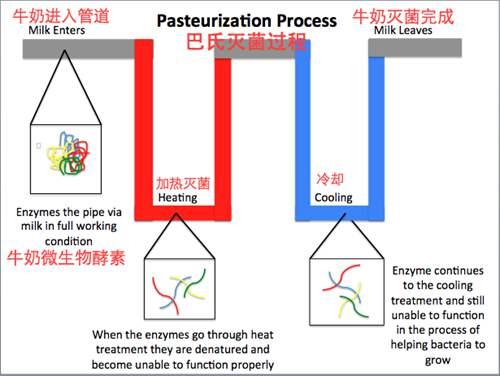 牛奶到底哪种好 告诉你关于牛奶的一切