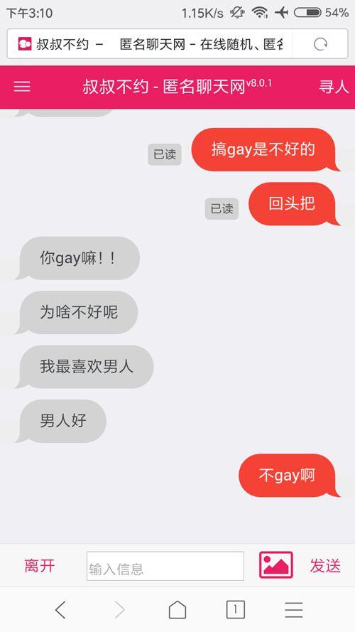 一个能和陌生人聊天的网站叔叔不约