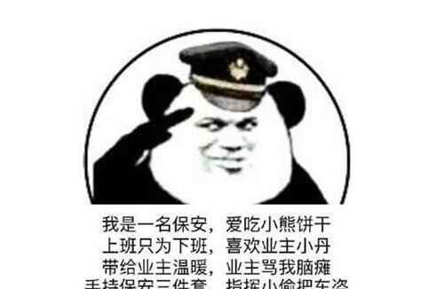 保安日记是什么梗