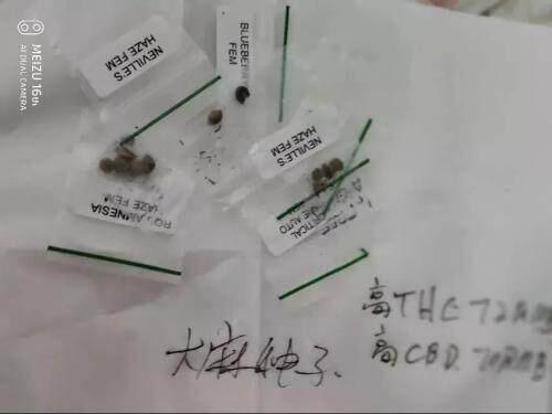 浙江温州摧毁一利用虚拟币交易贩毒团伙