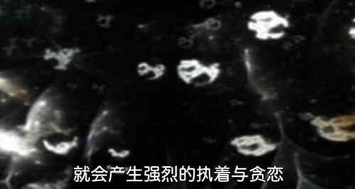 中阴身是什么意思