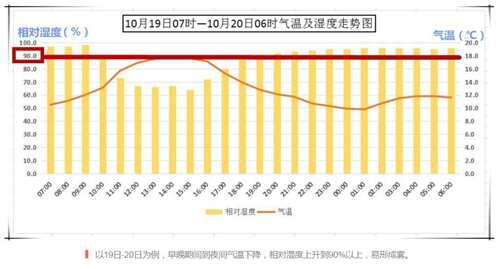 大雾是怎么形成的