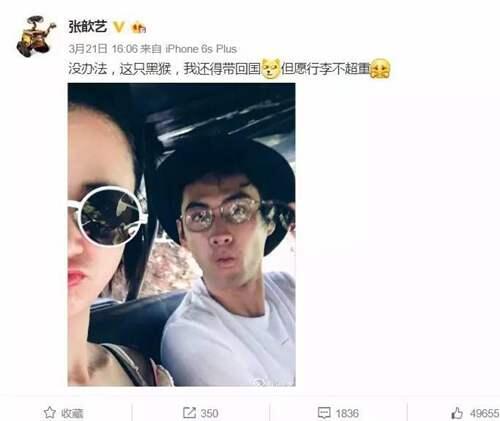 张歆艺三段婚史 张歆艺结婚