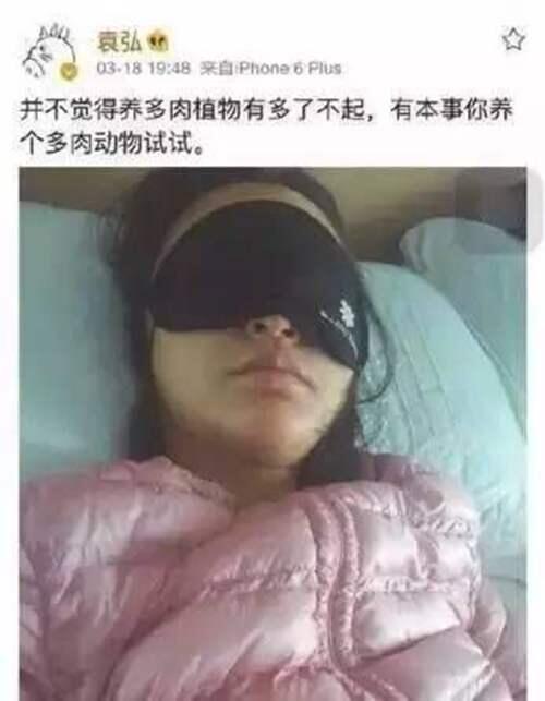 张歆艺三段婚史 张歆艺结婚