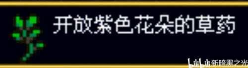 恶魔城被夺走的刻印 全任务攻略完整版所有资源整合