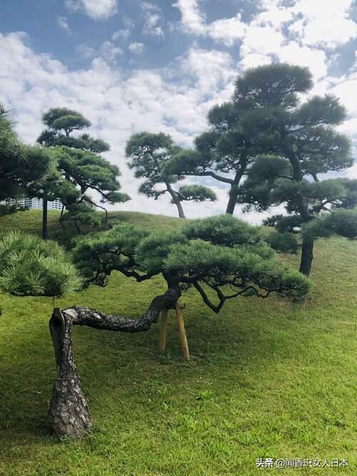 朗郡庭园排屋 滨离宫恩赐庭园