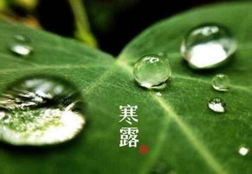 寒露节气下雨好吗