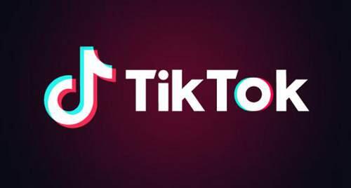 TikTok下架令被暂缓