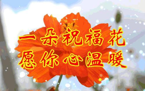 正月初十，十全十美日，双倍祝福送给你 大年初十祝福图片