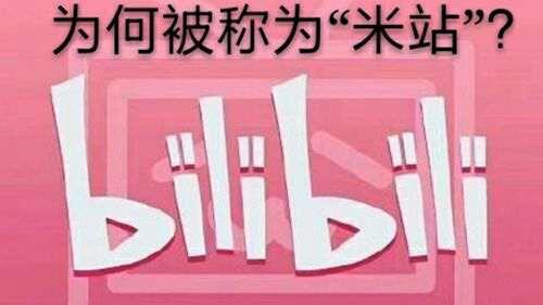 b站为什么被很多人称为 米站 米粉请理智