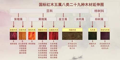 值得一看 国标红木全解 红木5属8类29种木材图鉴