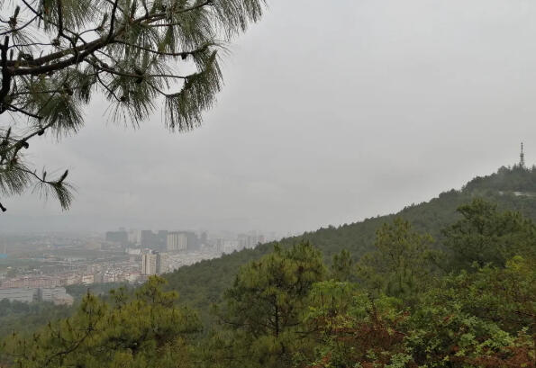 雨中登山记