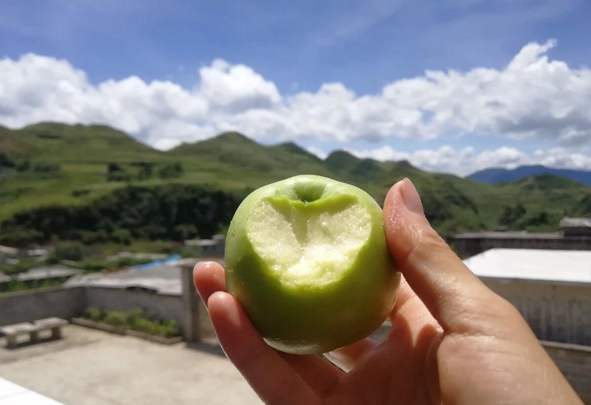 山中夏日 | 山村支教