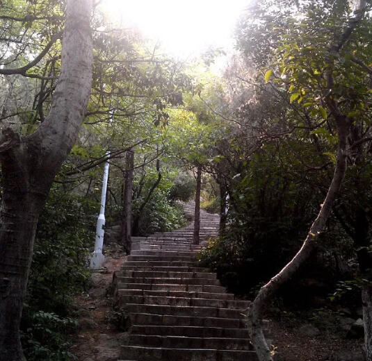 夏日，洒满相山的阳光