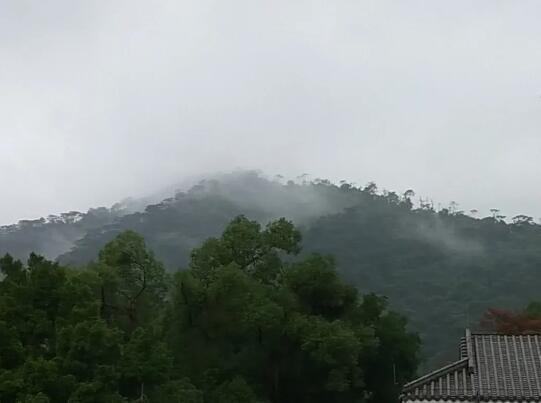 烟雨鼎湖山