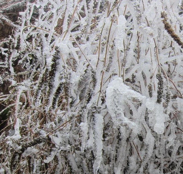 你再不来，我就要下大雪了。