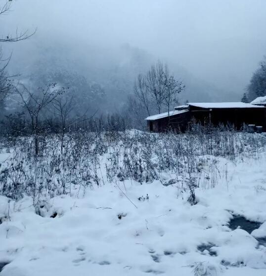 大雪纷飞道友情