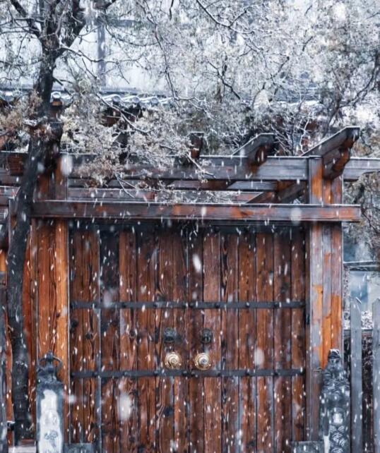 雪花满天（三）