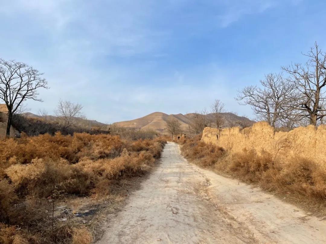 爬山记：金帜山，唐光陵，景陵，桥陵