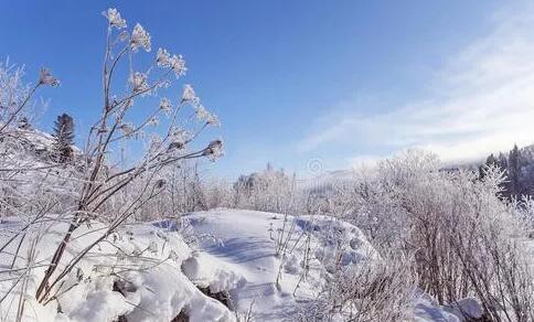 画雪