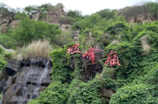 清风佛面，黄栌花开