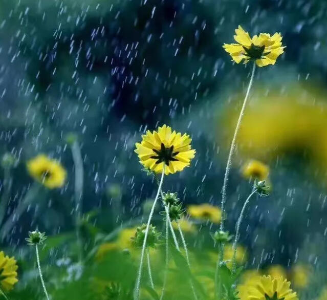 有风有雨，有爱有暖