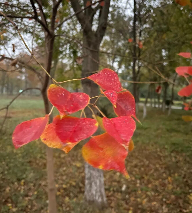 一点小感悟