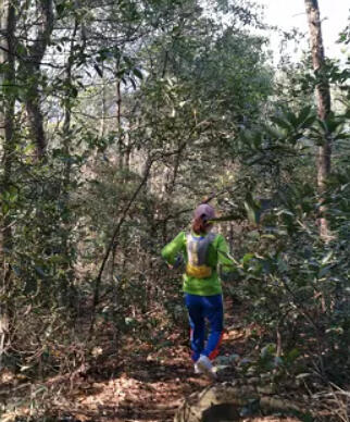 哇哇哇……果不其然，西湖群山是越野赛道最靓的风景