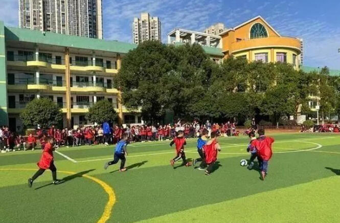 小学校园，一个陌生的世界