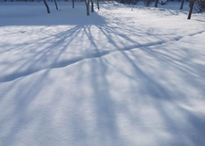 雪有什么好玩的？