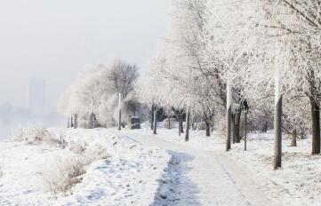 我是颇喜欢雪的