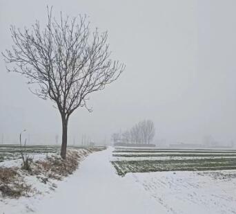 今天好大雪，能饮一杯无？