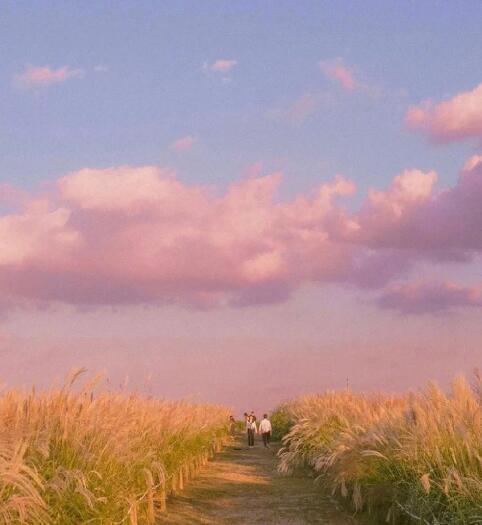 《恋爱通告》夕阳掉进了大海