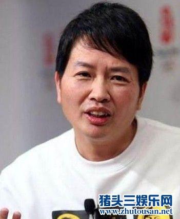 网民评选10大娘娘腔男星：何炅蔡康永小沈阳在列